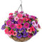 LARDUX Artificial Hanging Baskets with Flowers - 12 Inch Large Silk Fake Flower Hanging Basket for DIY Outdoor Garden Home Yard Patio Decoration