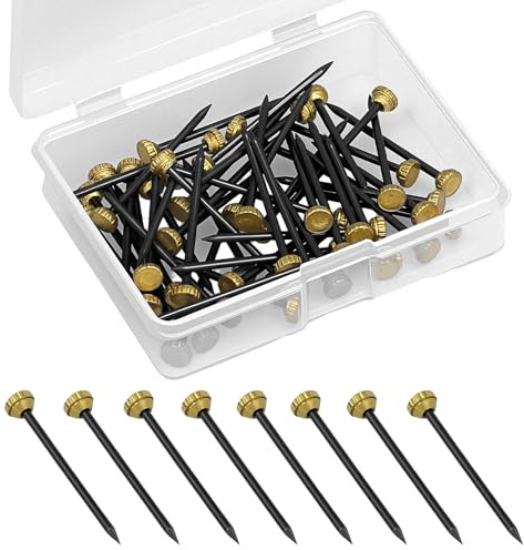 50 Stück Aufhängenägel, Bildernägel, Nägel, Nägel, Nägel, Bildernägel, mit Aufbewahrungsbox aus Kunststoff, kleine Wandspitze für Rahmen