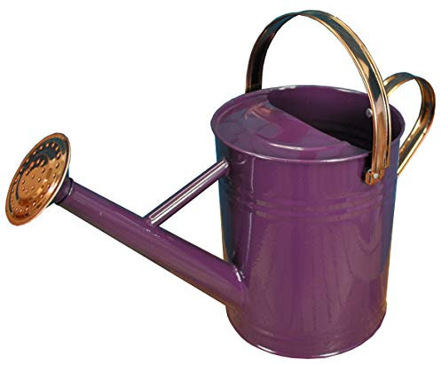 Selections Arrosoir en métal et cuivre Violet chiné 3,5 l