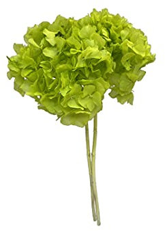 Pandecor Mazzo di Ortensie stabilizzate Colore Verde d. 20cm