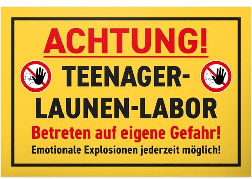 DankeDir! Teenager Launen Labor - 30 x 20 cm Schild - Geschenkidee Türschild Zimmer Jungen & Mädchen Spruch - Zimmer Deko Geschenk Idee Geburtstag Dekoration Tür Deko Jugendliche lustig