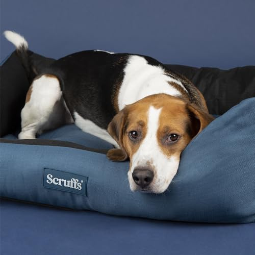 Scruffs Expedition Waterproof Travel Dog Box Bed (L)