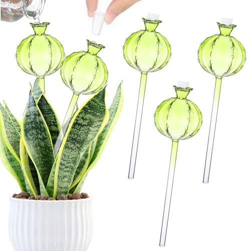 Lot de 3 globes d'arrosage automatique en verre en forme de cactus pour plantes d'intérieur et d'extérieur