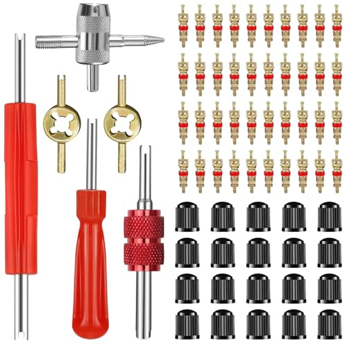 Kit de Herramientas de Extraccion para Obus de Valvula para Bicicleta Coche | 66PCS Herramientas de Reparación de Válvulas con 40 Núcleos de Válvula, 20 Tapones, 3 Extractor de Válvulas, para Moto