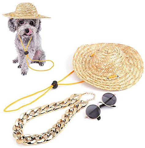 Taidda- Strohhut Kragen Retro Haustier Brille, Haustier Halskette, Katze Haustiere Three-Piece Suit Hundehalsband Hund Sonnenbrille Hund für Haustier Katzen Welpen Kleiner Hund Mode Dekor