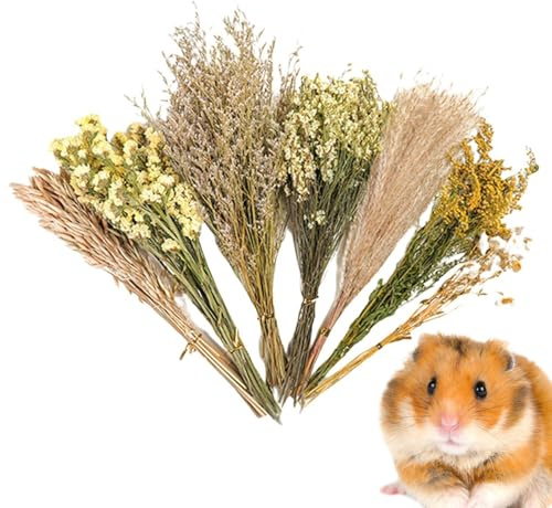 Generisch Hamster-Heublumen-Einstreu, Blumen-Hamster-Einstreu - Geblümtes Hamsterkäfig-Zubehör - Käfigdekoration mit natürlichem Thema, Blumen-Hamsterbettwäsche, Käfigzubehör für Rennmäuse