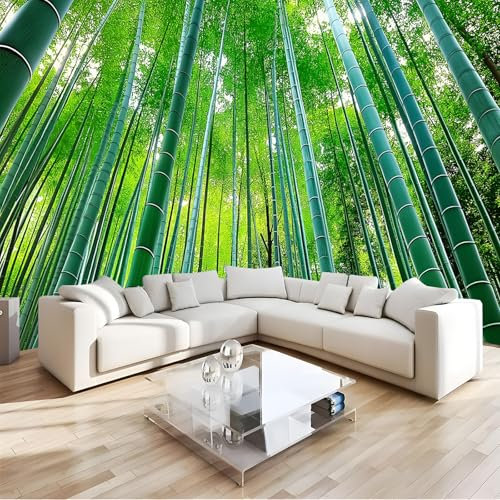 JSCWDET Papier Peint Panoramique 3D Soie, Forêt Dense De Bambous350W x 256H cm Murales Panoramique Poteaux De Bambou Verts Minimal pour Salon, Adulte Chambre d'enfants, Restaurant Décoration Murale