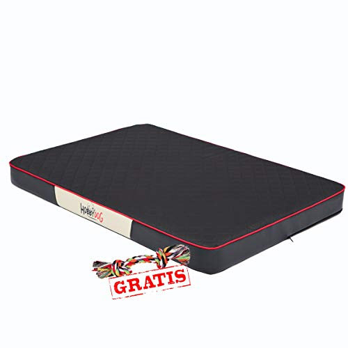 HobbyDog Premium MPRCKC8 + Spieltau gratis Hundebett Codura Öko-Leder Hundematte Hundematratze Schlafplatz (3 Verschiedene Größen) (XL (120 x 80 cm))