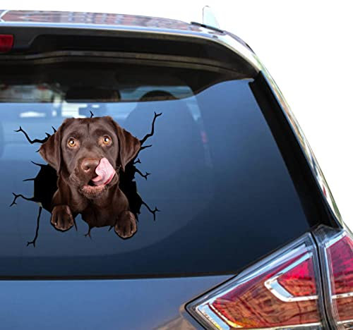 Chocolate Lab Aufkleber, schwarzer Labrador, Meme, Auto-Aufkleber für Gesichter, lustige Renn-Sticker