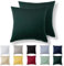 Alreya Kissenbezug 80 x 80 cm (2er Set) - Waldgrün - 100% Jersey Baumwolle - Kissenhülle für Kissen 80x80 cm, Jersey Kopfkissenbezüge, Superweicher Kissenbezüge 80x80 mit Reißverschluss