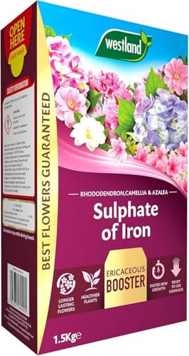 WEST0-LAND Sulphate of Iron Plant Food – 1.5kg | Acid-Loving Feed for Ericaceous Plants | Prevents Yellow Leaves, Boosts Growth & Colour | Rhododendrons, Azaleas, Blueberries
