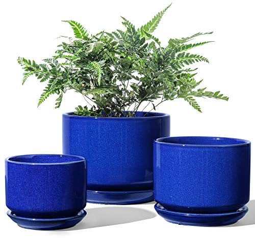 LE TAUCI Set da 3 Vaso in Ceramica per Piante, 11+13+17 cm di Diametro Vaso per Piante da Interno, Vasi Piccoli con Sottovaso e Foro di Drenaggio, Regali per la Mamma, Blu Zaffiro