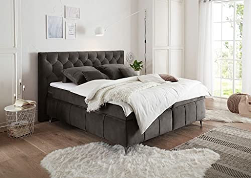 Froschkönig24 Pembroke Boxspringbett 160x200cm Anthrazit, Ausführung:Variante 3