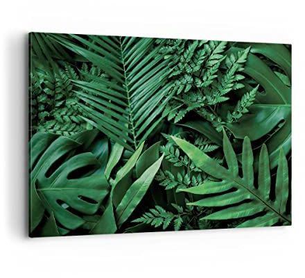 ARTTOR Leinwandbild 100x70cm Wandbild Botanik Natur - 4746 | Exotisch Blätter Monstera Groß Wanddekoration Wohnzimmer Schlafzimmer Wanddeko Wand Kunstdruck Wandkunst Wall Decor ARTTOR
