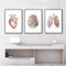 Anatomie Poster 3er-Set,Herz Gehirn Menschliche Anatomie Poster Krankenhaus Klinik Wandkunst Poster Medizin Wand Bilder-ohne Rahmen (A,30x40cm*3)