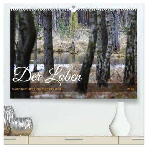 Der Loben. Im Reich der Moorgeister und Kreuzottern- Südbrandenburgs letztes großes Moor (hochwertiger Premium Wandkalender 2026 DIN A2 quer), ... Heidelandschaft (CALVENDO Natur)