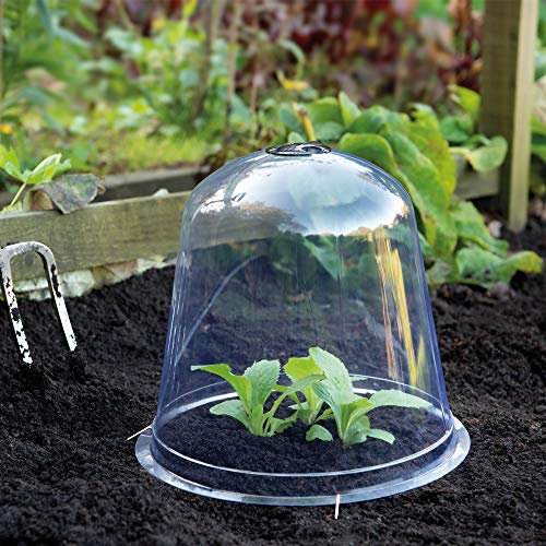 Bell Cloche Garden Protection for Young Plants Sturdy Weatherproof Plastic Design Protects Alpine and Perennial Plants from Rotting and Pests 1 x Bell Cloches by Thompson and Morgan (3 x Bell Cloche)
