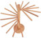 Asixxsix Stendino per Pasta, stendino per Pasta in Legno Pieghevole per Cucina con 18 Bracci Facile da assemblare Stand essiccatore di Spaghetti freschi Fatti in casa per Spaghetti