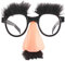 Facynde Lustige Brille für Erwachsene | Lustige Verkleidungsbrille mit Augenbrauen und Schnurrbart | Kreative Foto-Requisiten, Halloween- -Brillen, Partygeschenke für Kinder und Erwachsene