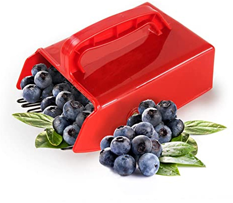 Cocoarm Strumento Raccogli Bacche, Paletta Raccogli Mirtilli, Paletta Rastrello per Bacche con Pettine Metallico e Manico Ergonomico, per Mirtilli Rossi, Mirti, Ribes, Ribes Rosso
