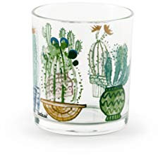 Excelsa KTN 3 BICC.CACTUS CL.25