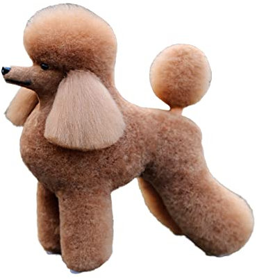 Mr. Jiang Hundespielzeug Pudel Lamm Ganzkörperhaar für Groomer's Praxis - Modell Hund Kunstperücke für Schaufensterpuppe - Realistisches Trimmen & Scheren