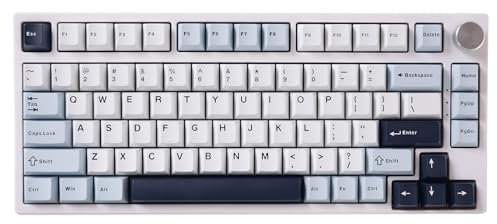 GK GAMAKAY TK75 HE Hall Effekt Tastatur Rapid Trigger Magnetschalter Mechanische Tastatur, Bluetooth/2.4GHz/Wired RGB PBT Tastenkappen Hot-Swap-fähig Gaming Tastatur (Weiß, Mercury Switch)