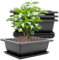 LDHHYH Lot de 8 grands bols à bonsaï - 23 x 17 x 8 cm - Avec plateaux - En plastique - Convient pour les jardins, les cours, les bureaux, le salon, les balcons - Noir