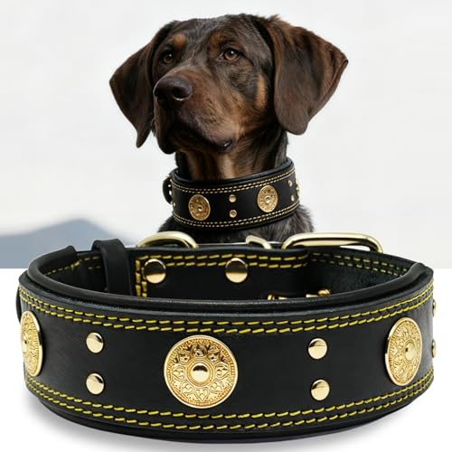 Hundehalsband Leder 5 cm Breites,Handgefertigt Weich und Luxuriös,SW-GD S | Robustes Echtes Lederhalsband, Auffällige Beste Wahl für Große und Mittelgroße Hunderassen, 42,5-52,5 cm