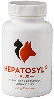 Hepatosyl Plus Capsules 50mg (60 capsules)