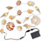 Muschel Lichterkette, maritim LED Lichterkette mit Batteriekasten, 20 LEDs warmweiß Festive Lights, echte Muscheln, DIY USB kreative Beleuchtung für Halloween Weihnachtsdekoration…