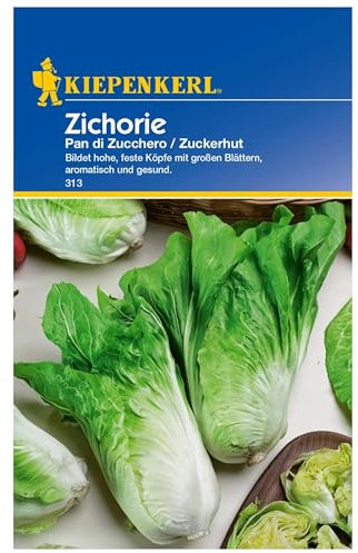 Kiepenkerl Zichoriensamen Pan di Zucchero, Robuste Gemüsesamen für aromatischen Salat, Schossfest, Winterhart, Ideal für den Anbau von Salatsamen und Gemüse