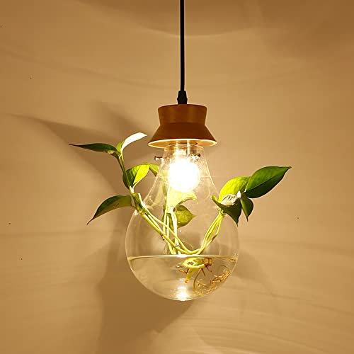 ZJHAHJY Lustre Nordique hydroponique à Plantes Vertes, Suspension créative en Verre, luminaire Suspendu en Fer pour Cuisine, îlot, Restaurant, Bar, allée, Balcon