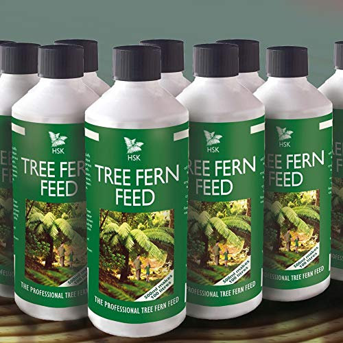 Tree Fern Feed For Improved Growth of Ferns Weekly Use For Containers and Borders Easy to Use 1 x Pack of 500ml by Thompson and Morgan
