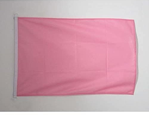AZ FLAG - Drapeau Unicolore Rose Spécial Extérieur - 90x60 cm - Pavillon Nautique De Couleur Rose En Maille Bloquée Avec Anneaux Plastiques Intégrés - 80g