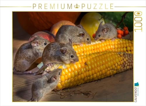 CALVENDO Puzzle Kleiner Nager - Maus | 1000 Teile Lege-Größe 64 x 48 cm Foto-Puzzle für glückliche Stunden