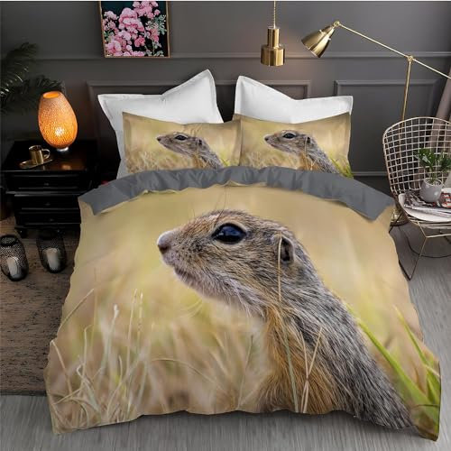 Pechiwuo Chinchilla Bettwäsche 155x220 Weich Kuschelige Mikrofaser 3D Druck Chinchilla Bettwäsche-Sets Bettbezug und 2 Kissenbezug 80x80 cm mit Reißverschluss B-2152