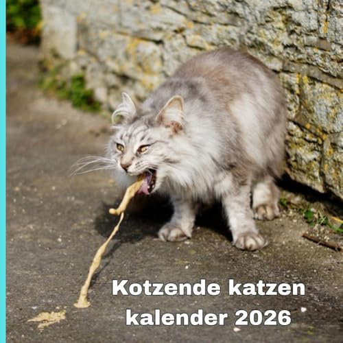 Kotzende katzen kalender 2026