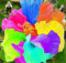 Vista 100 teile/beutel Hibiskus Blumensamen Riesen Hibiskus Samen Bonsai Baum Mehrjährige Blumen Pflanze Für Hausgarten Semillas Einfach Zu Wachsen Gelb
