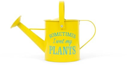 Kleine Gießkanne für den Innenbereich, Gartengeschenke für Frauen, niedliche Gießkanne für Gärtner