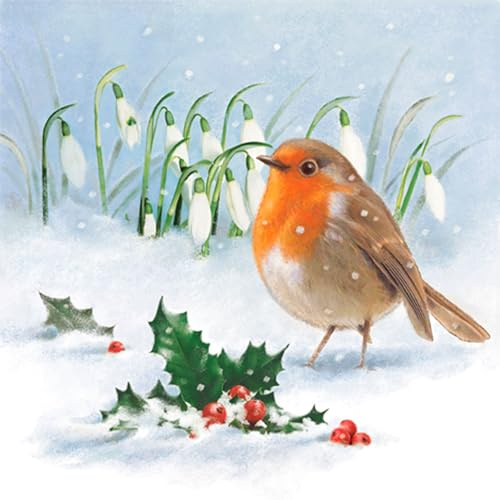 Servietten Papier 33x33cm 20 Stück Vogel im Schnee Motiv - hochwertig & nachhaltig - Einweg Weihnachtsservietten 3-lagig - Papierservietten für Weihnachten Gastronomie Alltag - Hellblau Bunt
