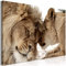decomonkey | Mega XXXL Bilder Löwe | Wandbild Leinwand 160x80 cm Selbstmontage DIY Einteiliger XXL Kunstdruck zum aufhängen | Tiere Afrika