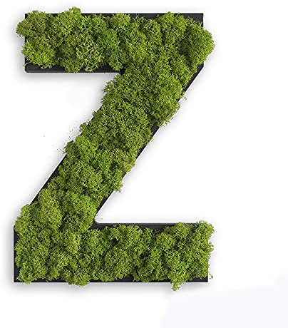 styleGREEN Piktogramm: Buchstabe Z Islandmoos