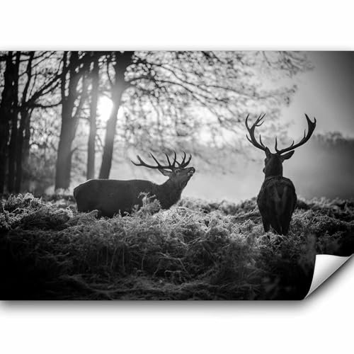 murando - Fototapete Premium-Vlies Hirsch Tiere 350x256cm - Foto Tapete Wohnzimmer Moderne Vliestapete XXL Wandtapete Motivtapeten Bildtapete 3d Effekt Wand Dekoration Flur Wald Landschaft Natur