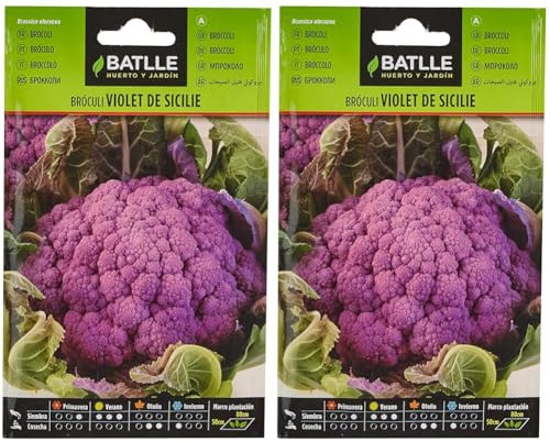 Battle - Semi Ortaggi Broccolo Viola Siciliano (Semi) (Confezione da 2)