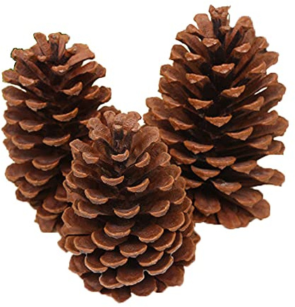 12-15cm Pine Cones Pendant Big Tree Hanging Balls Party Decoration Christmas Tree Ornaments Drop Ornament Nice and Practical