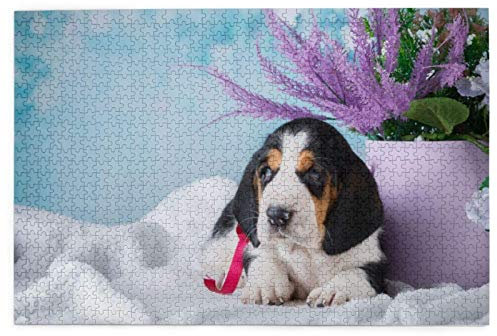 Jigsaw Puzzles 1000 Pieces Basset Hounds pupp Gift Pets Small Basset Jigsaw Toy Family Game Wall Decor for Adults Teens 38x52CM
