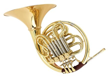Professionelles Waldhorn Doppelhorn In B F Tonart Für Üben Von Geteilten Instrumenten