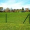 Tidyard Eurozaun-Set Gartenzaun mit Zaunpfosten Gitterzaun Stahl Maschendraht Robust Schutzzaun 25 x 1,5 m Maschenweite 100 x 100 mm PVC-Beschichtet Stahldraht Grün