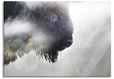 Pixxprint Glasbild, Wandbild aus Echtglas, Wildes Bison in nebeligem Wald, 60x40 cm, inkl. Aufhängung und Abstandshalter
